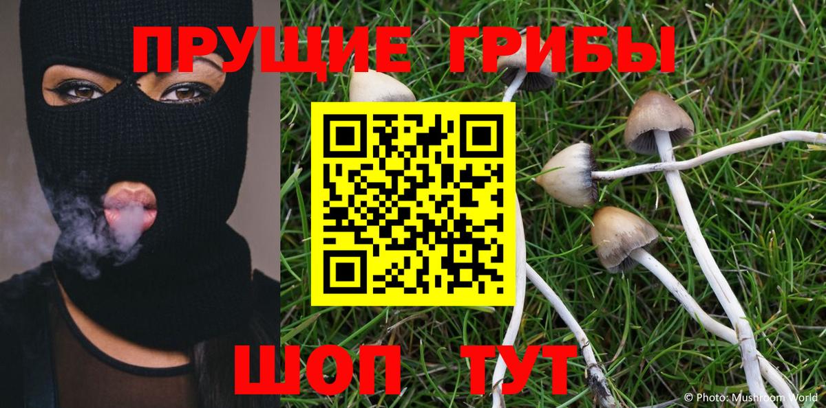 Псилоцибиновые грибы Magic Shrooms  Вход с VPN  цены наркотик  Сергиев Посад  Псилоцибиновые грибы Cubensis 